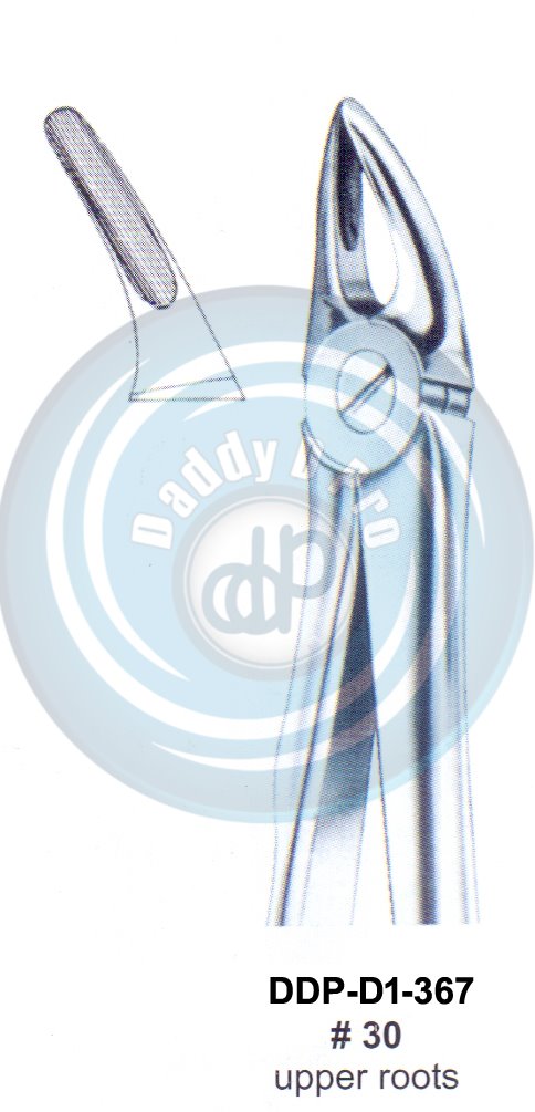 Tooth Extracting Forceps FIG#30 (english pattern)