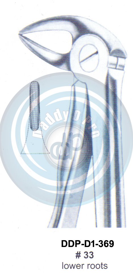 Tooth Extracting Forceps FIG#33 (english pattern)