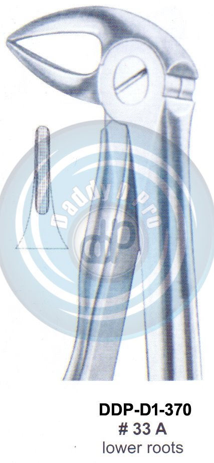 Tooth Extracting Forceps FIG#33 A (english pattern)