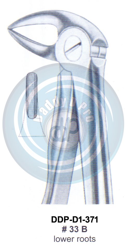 Tooth Extracting Forceps FIG#33 B (english pattern)