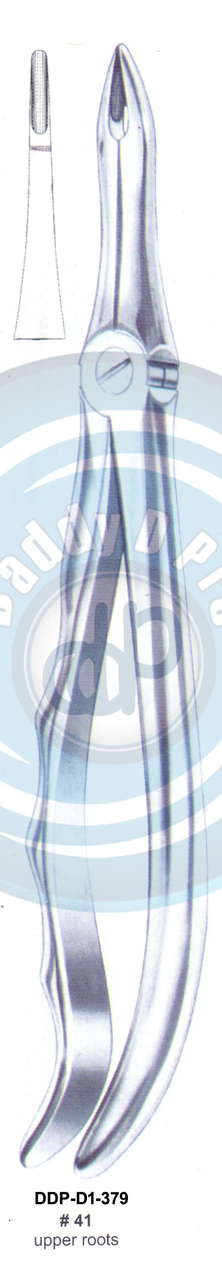 Tooth Extracting Forceps FIG#41 (english pattern)