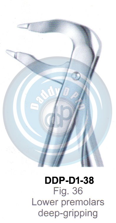Tooth Extracting Forceps  Fig#36 (english pattern)