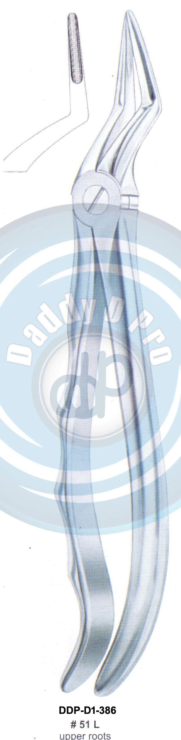 Tooth Extracting Forceps FIG#51 L (english pattern)