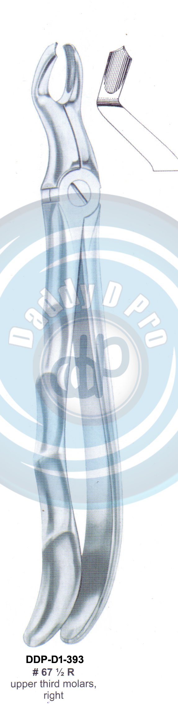 Tooth Extracting Forceps FIG#67 1/2 R (english pattern)