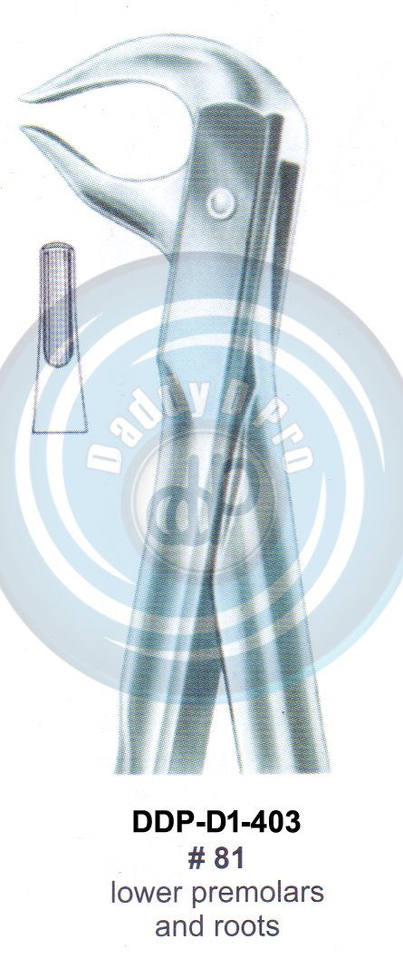 Tooth Extracting Forceps FIG#81 (english pattern)