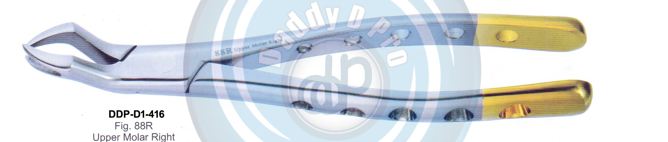 Tooth Extracting Forceps FIG#88R (english pattern)