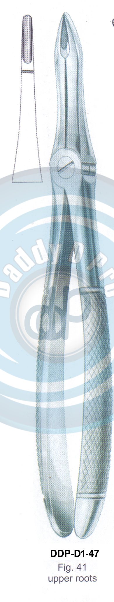 Tooth Extracting Forceps  Fig#41 (english pattern)