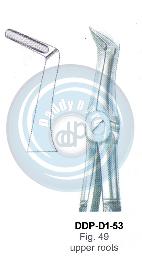 Tooth Extracting Forceps  Fig#49 (english pattern)