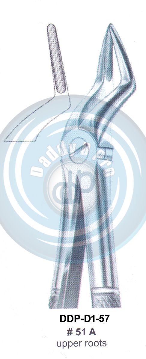 Tooth Extracting Forceps  Fig#51A (english pattern)