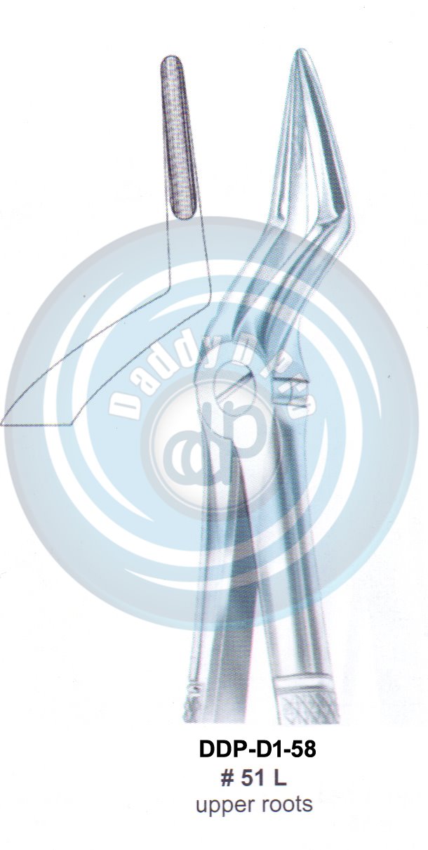 Tooth Extracting Forceps  Fig#51L (english pattern)