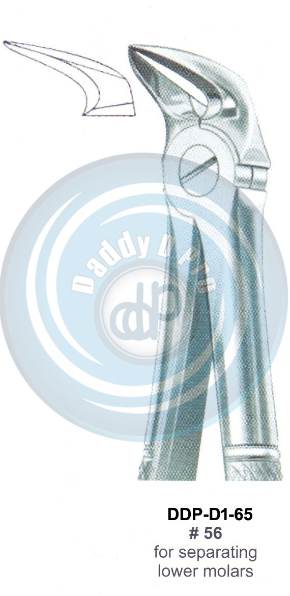 Tooth Extracting Forceps  Fig#56 (english pattern)