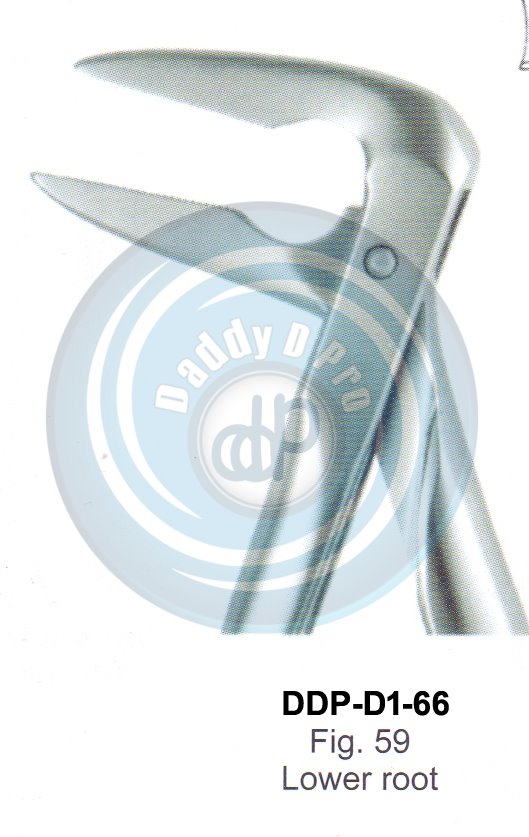 Tooth Extracting Forceps  Fig#59 (english pattern)