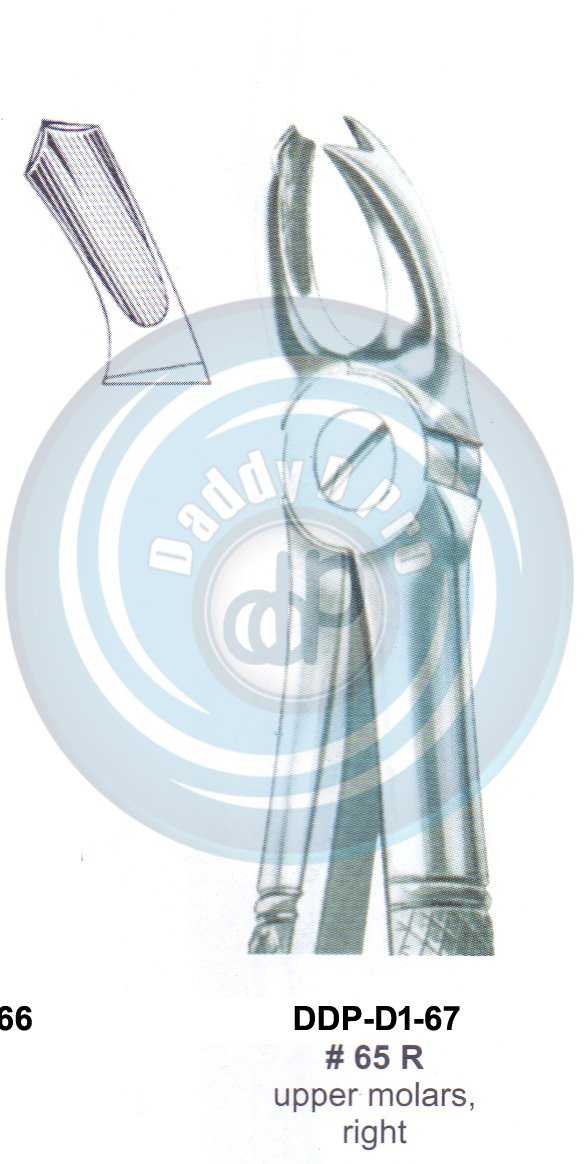 Tooth Extracting Forceps  Fig#65R (english pattern)