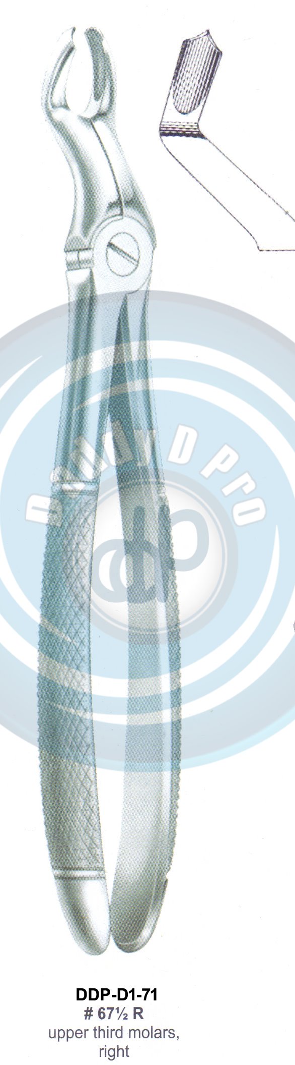 Tooth Extracting Forceps  Fig#67 1/2 R (english pattern)