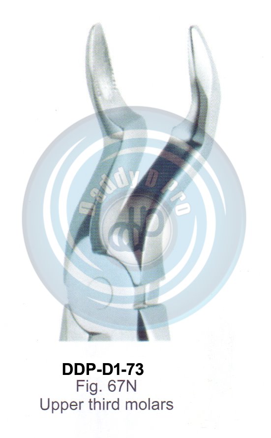 Tooth Extracting Forceps  Fig#67N (english pattern)