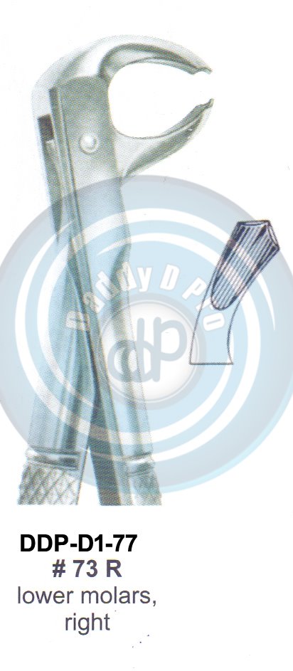 Tooth Extracting Forceps  Fig#73R (english pattern)