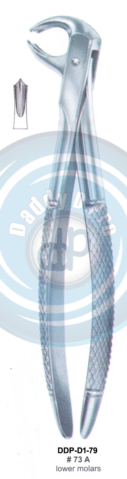 Tooth Extracting Forceps  Fig#73A (english pattern)