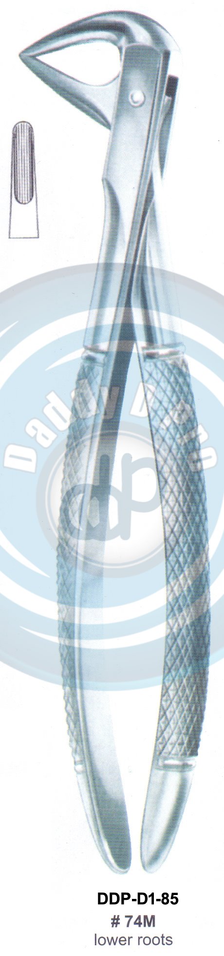 Tooth Extracting Forceps  Fig#74M (english pattern)