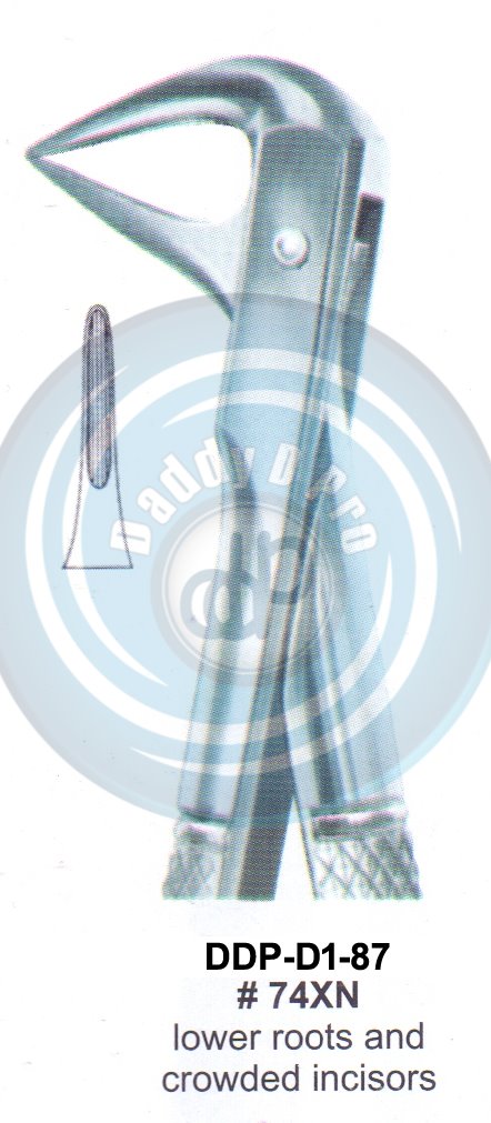 Tooth Extracting Forceps  Fig#74XN (english pattern)