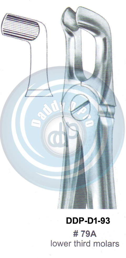 Tooth Extracting Forceps  Fig#79A (english pattern)