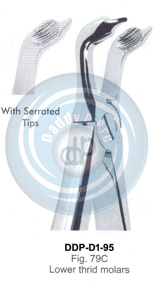 Tooth Extracting Forceps  Fig#79C (english pattern)