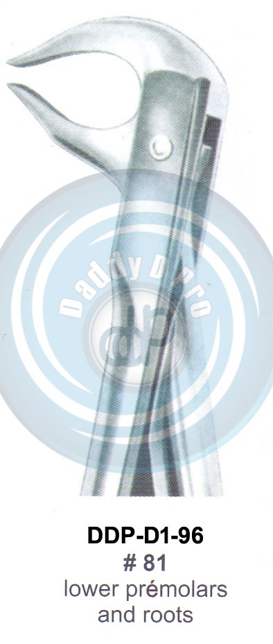 Tooth Extracting Forceps  Fig#81 (english pattern)
