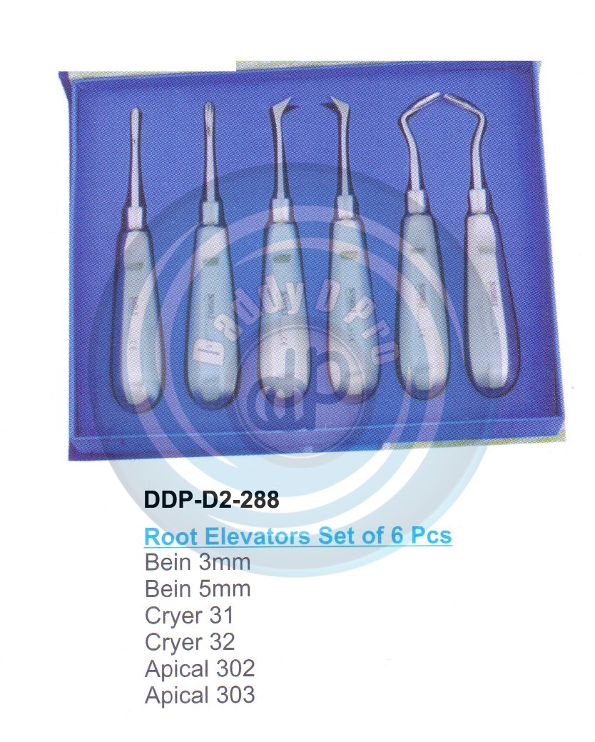 ROOTS ELEVATOR CHOMPRET SET OF 6 PCS