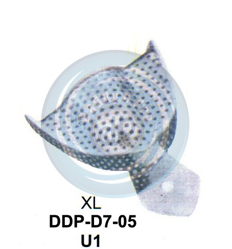 IMPRESSION TRAYS PERFORATED RIM LOCK UPPER XL U1