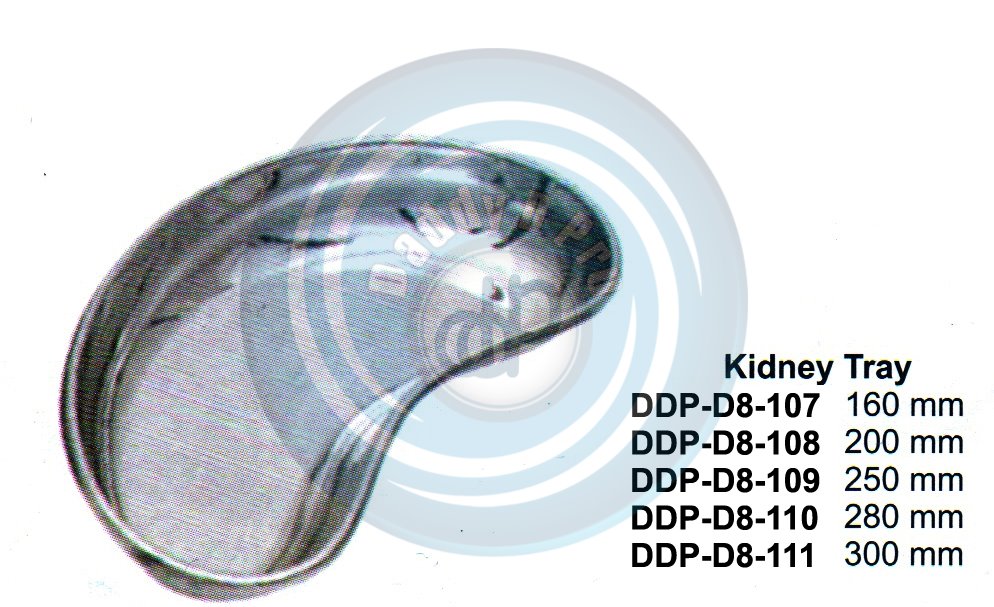 HOLLOW WARE INSTRUMENTS  KIDNEY TRAY SHALLOW